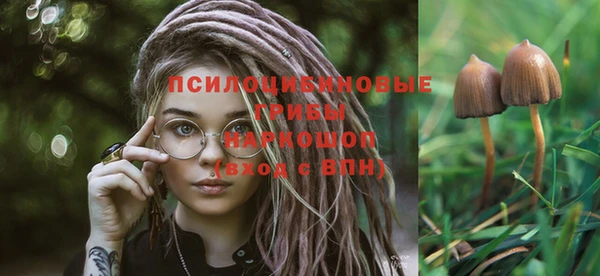 экстази Медногорск